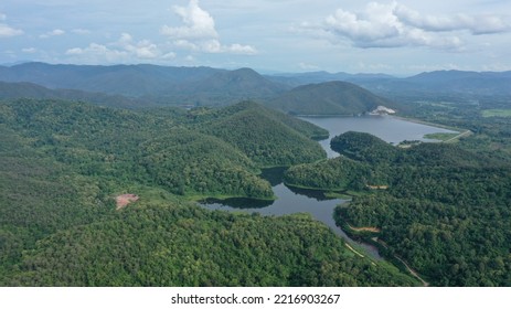 Abundant Nature Around The Large Pond There Is Greenery.