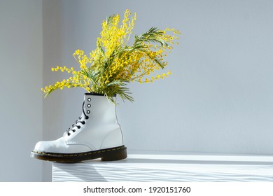 Acacia Dealbata, Silver Wattle Or Yellow Mimosa Flower In White Female Boot On White Home Interior. Authentic Photo. Women's Day, Mother's Day. Springtime. Hard Shadows. Spring Shoes Sale