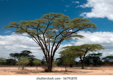 19,005 Zimbabwe landscapes Images, Stock Photos & Vectors | Shutterstock