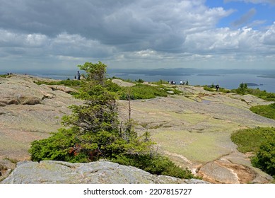 Acadia National Park. Cadillac Mountain  Trail. State Of Maine. USA