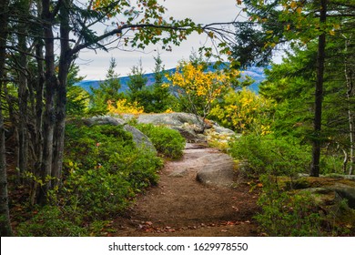 Acadia National Park, Maine, USA