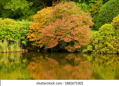 Acadia National Park, Maine, USA - Dec. 27, 2020: Millions Of Visitors Are Drawn To Maine Each Year To See Acadia National Park's Lakes, Wooded Trails, Colorful Shorelines And Abundant Wildlife.