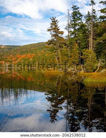 Acadia National Park, ME - USA - Oct. 13, 2021: An autumnal vertical view of multi color trees refleciting in Hadlock Pond in Acadia National Park in Maine.