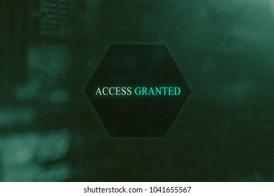 Access Granted - Computer screen system