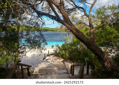 Access path to Lake McKenzie (Boorangoora) on Fraser Island (K'gari), a perched lake of pure turquoise freshwater surrounded by pure white silica sand in Queensland, Australia