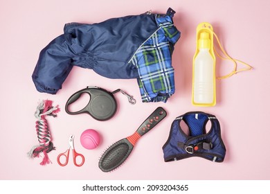 Accessories for dogs on a pink background. Clothes for the dog, leash, water bottle, toys, hairbrush