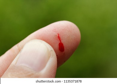 Accident on hand ,Drop of blood ,thorn cut on finger
