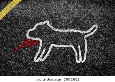 Accident On The Road With A Dog.