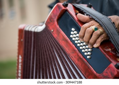 Accordion Player