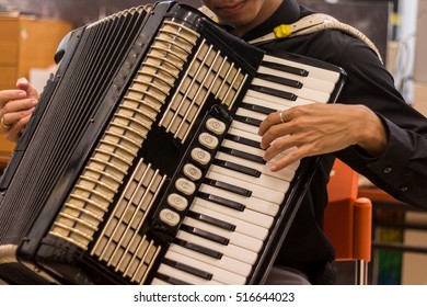 Accordion Player