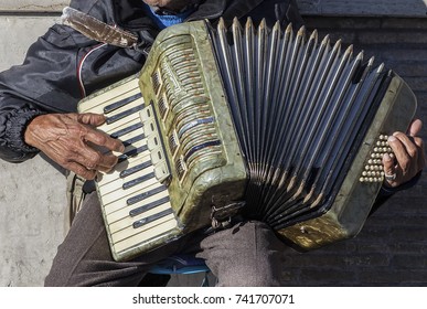 Accordion Player