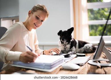 Accountant Woman Doing Tax Accounting Using Calculator With Dog