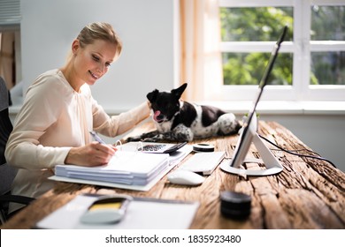 Accountant Woman Doing Tax Accounting Using Calculator With Dog