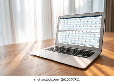 Accounting software on computer screen showing financial statement spreadsheets and account balance of corporate business offer accountant a fine calculation accounting snugly