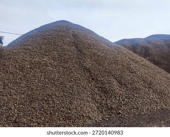Accumulation of Abundant Palm Kernel Shell Biomass as a Renewable Alternative Fuel Source, palm oil mills 