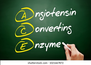 ACE - Angiotensin Converting Enzyme Acronym, Concept On Blackboard