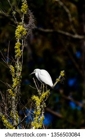 ACE Basin National Wildlife Refuge