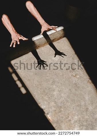 Similar – Image, Stock Photo Quitschechen forgotten