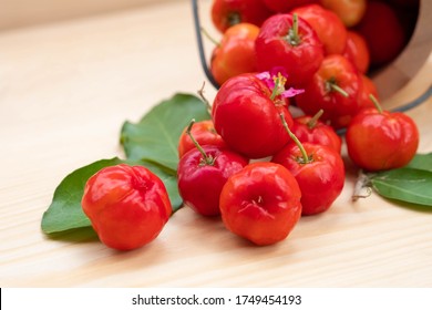 Indian Cherry Images Stock Photos Vectors Shutterstock