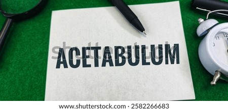 Acetabulum: The Pelvic Bone Socket Forming the Hip Joint. 