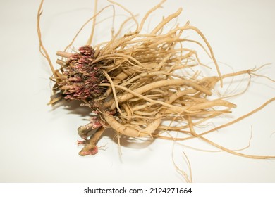 Achyranthes roots, medicinal plants, healthy food, medicinal herbs.