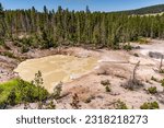 Acid Springs in Sulphur Caldron Yellowstone National Park 