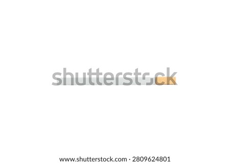 acidity test strip for human ph measurement isolated on white background, medical diagnostic indicator, laboratory litmus paper, healthcare testing tool, close up