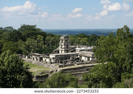 acient maya ruines, palenque, temple, jungle
