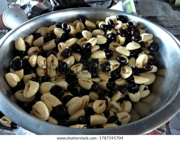 Ackee Fruit Sapindaceae Soapberry Family Sale Stock Photo 1787595704 ...