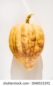 Acorn Squash Isolated On White