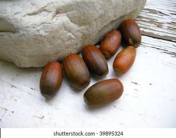 Acorns