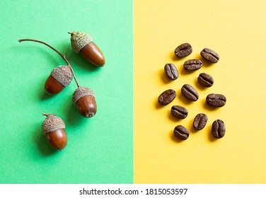 Acorns for acorns coffee and coffee beans on a yellow and green background. The concept of choosing between traditional coffee and a healthy drink with a coffee flavor and without caffeine.
