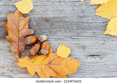 Concept Autumn Stock Photos Images Photography Shutterstock Images, Photos, Reviews