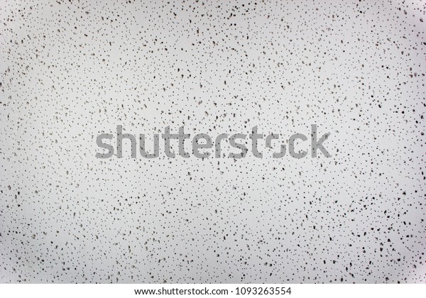 Acoustic Ceiling Board Texture Stock Photo Edit Now 1093263554