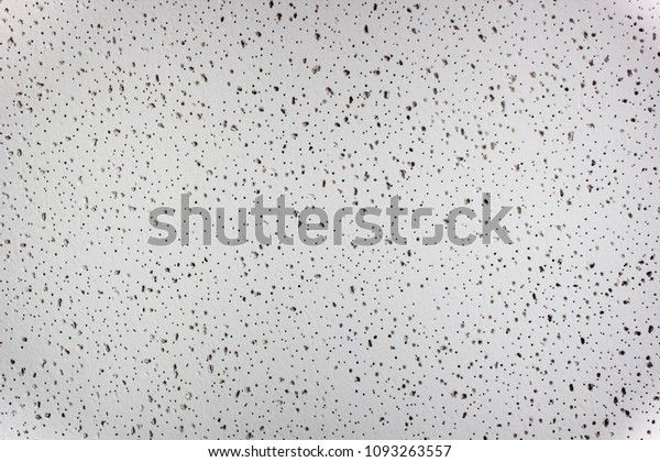 Acoustic Ceiling Board Texture Stock Photo Edit Now 1093263557