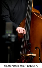 Acoustic Double Bass Player - Classic Jazz