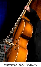 Acoustic Double Bass Player - Classic Jazz