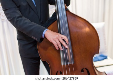 Acoustic Double Bass Player - Classic Jazz