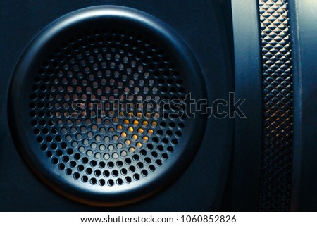 Acoustic system with a grid on the diffuser close-up