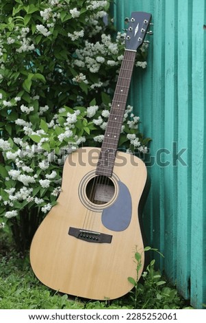 An acoustic wooden guitar near a green rustic fence against a background of a blooming jasmine bush.