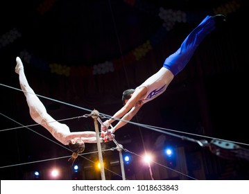 acrobat in the circus