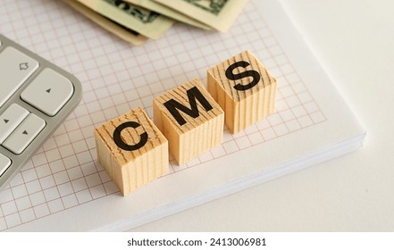 Acronym CMS or Content Management System. Text on wooden cubes