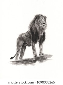 Pencil Sketch Lion Images, Stock Photos & Vectors | Shutterstock