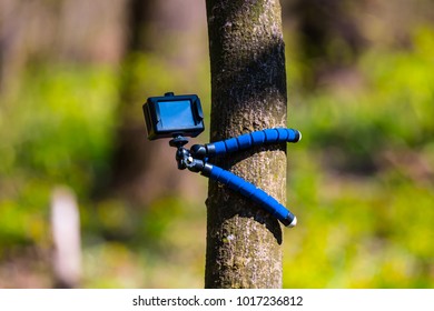 action camera mounted on a tree in a forest