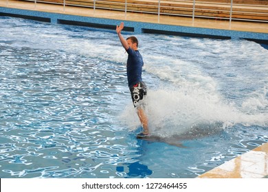action with dolphin