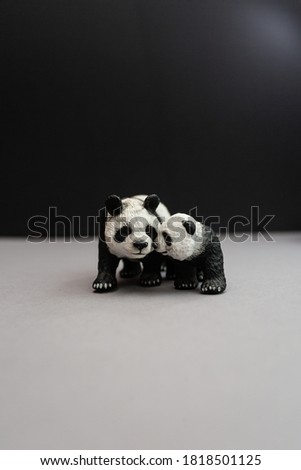 Action figure panda with cub on a black background. Wild life, zoo