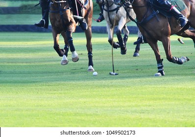 Action of the horse in polo match.