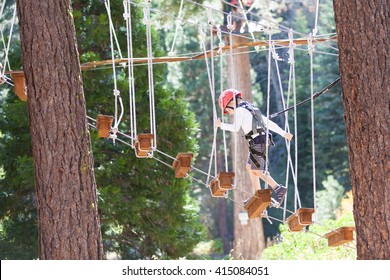 Active Brave Boy Enjoying Climbing At Treetop Adventure Park