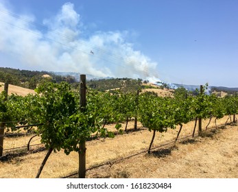 Active Bushfire In The Adelaide Hills - Vineyard - South Australia