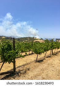 Active Bushfire In The Adelaide Hills - Vineyard - South Australia